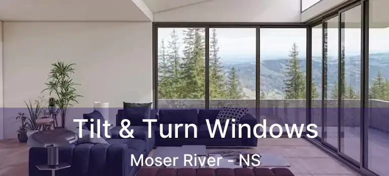  Tilt & Turn Windows Moser River - NS