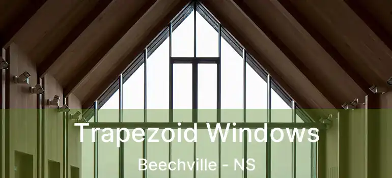  Trapezoid Windows Beechville - NS