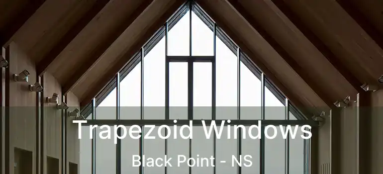  Trapezoid Windows Black Point - NS