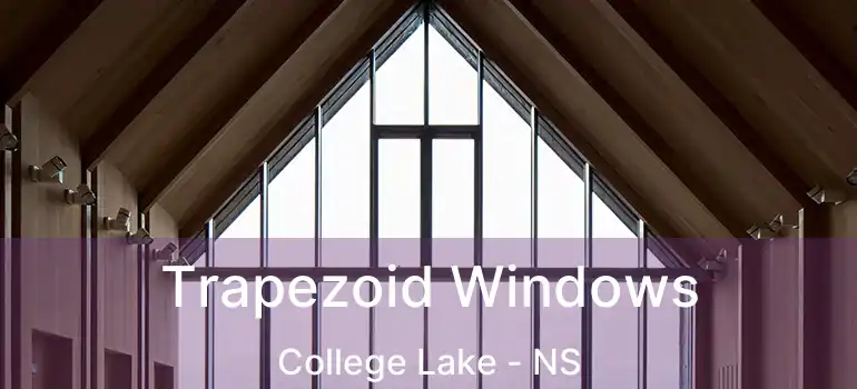  Trapezoid Windows College Lake - NS