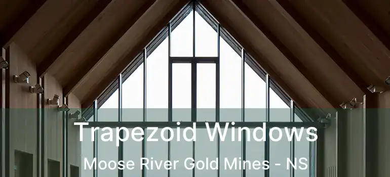  Trapezoid Windows Moose River Gold Mines - NS