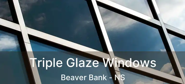  Triple Glaze Windows Beaver Bank - NS