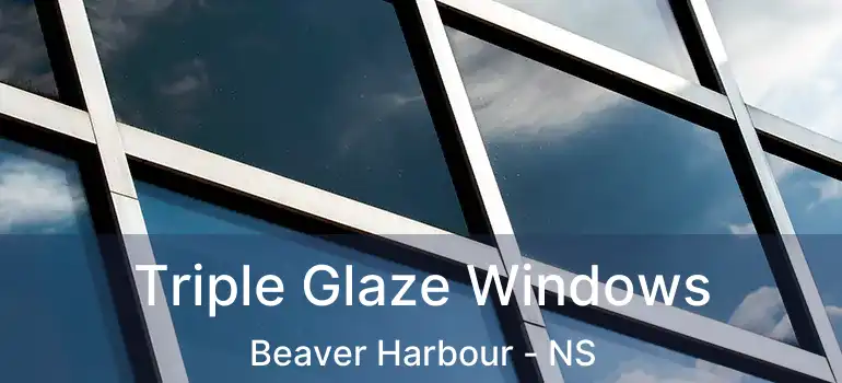  Triple Glaze Windows Beaver Harbour - NS