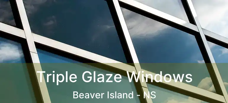  Triple Glaze Windows Beaver Island - NS