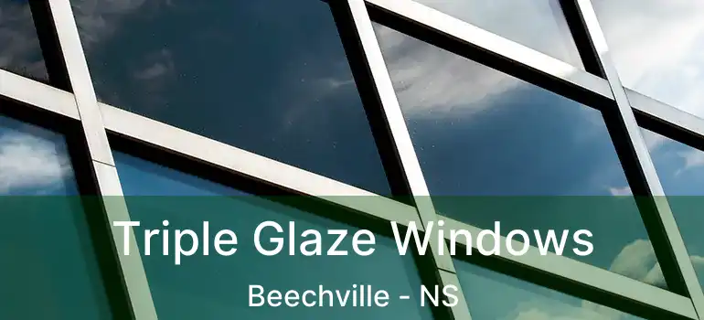  Triple Glaze Windows Beechville - NS