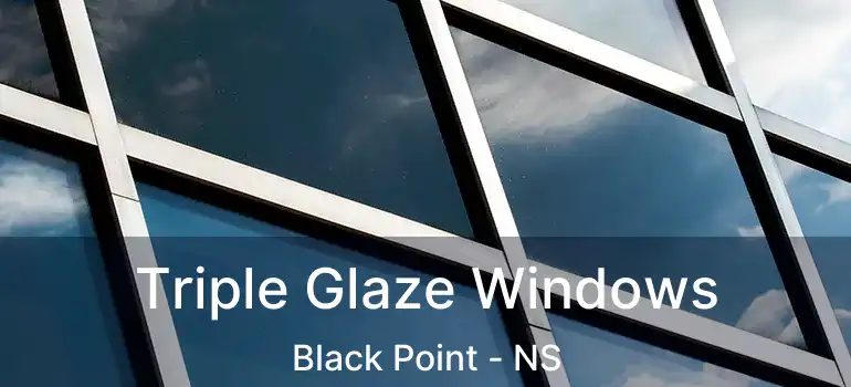  Triple Glaze Windows Black Point - NS