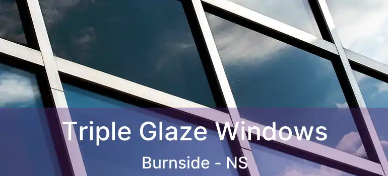  Triple Glaze Windows Burnside - NS