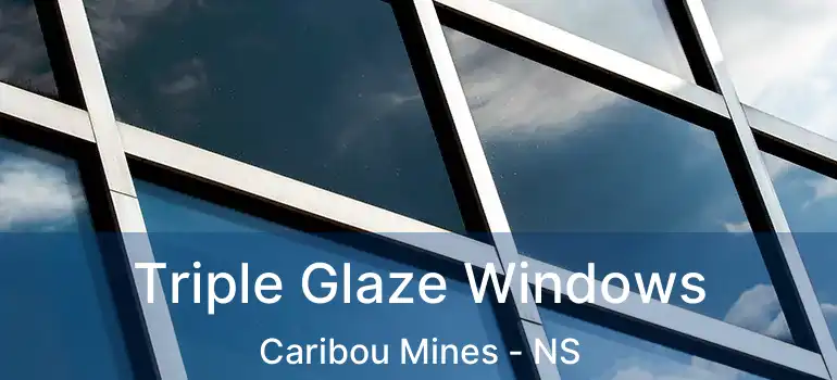  Triple Glaze Windows Caribou Mines - NS