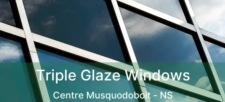  Triple Glaze Windows Centre Musquodoboit - NS