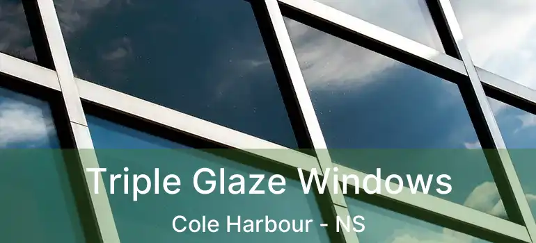  Triple Glaze Windows Cole Harbour - NS