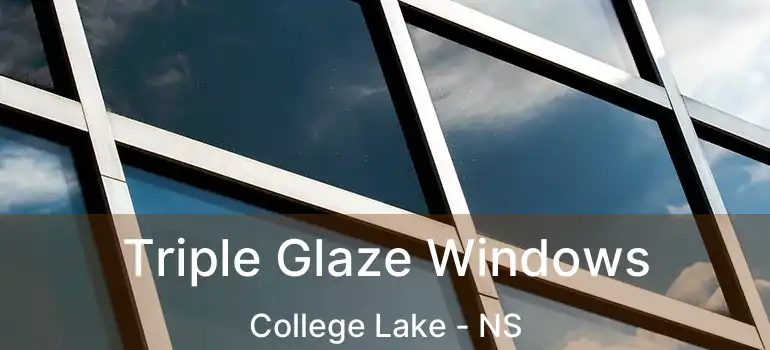  Triple Glaze Windows College Lake - NS