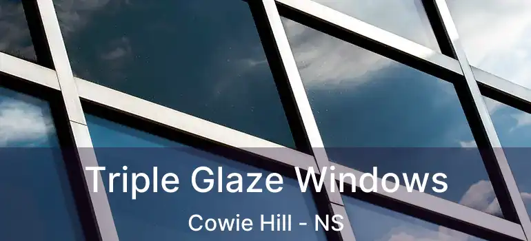  Triple Glaze Windows Cowie Hill - NS