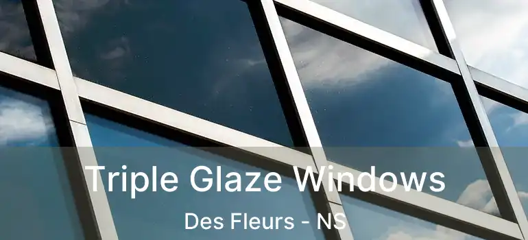  Triple Glaze Windows Des Fleurs - NS