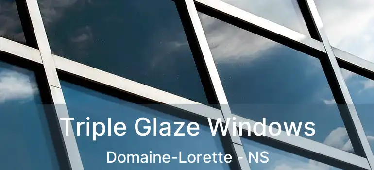  Triple Glaze Windows Domaine-Lorette - NS