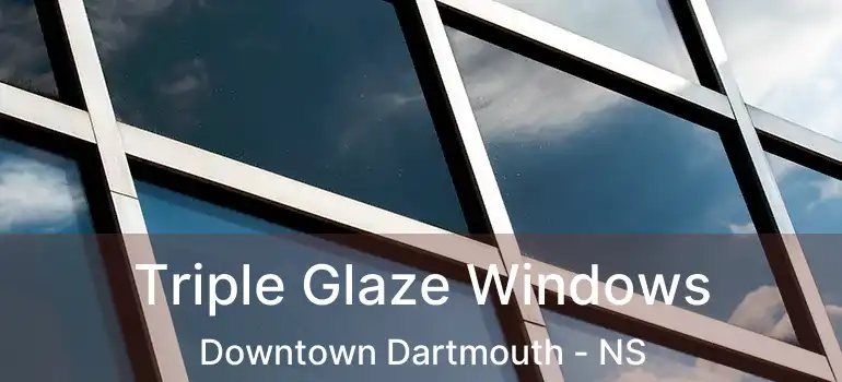  Triple Glaze Windows Downtown Dartmouth - NS