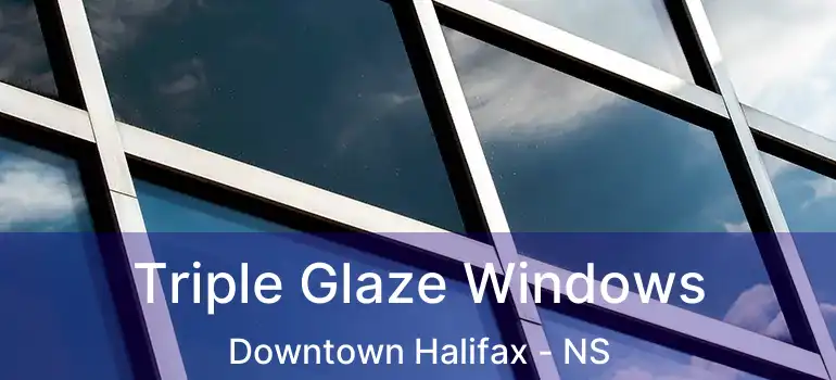  Triple Glaze Windows Downtown Halifax - NS