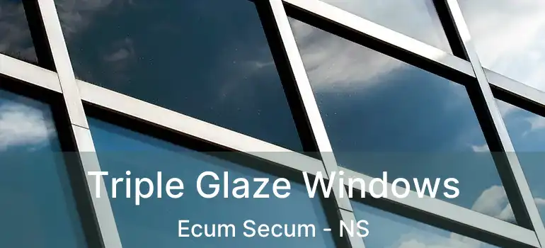  Triple Glaze Windows Ecum Secum - NS