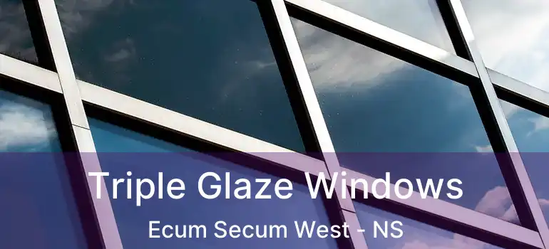  Triple Glaze Windows Ecum Secum West - NS