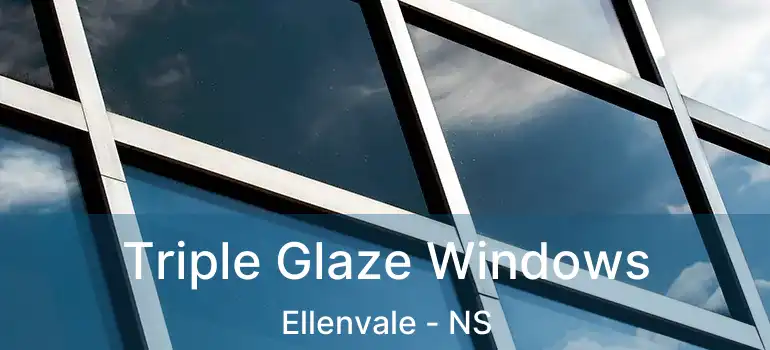  Triple Glaze Windows Ellenvale - NS