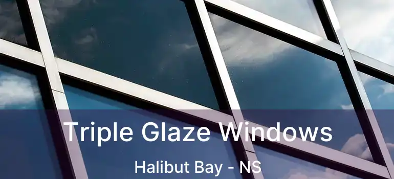  Triple Glaze Windows Halibut Bay - NS