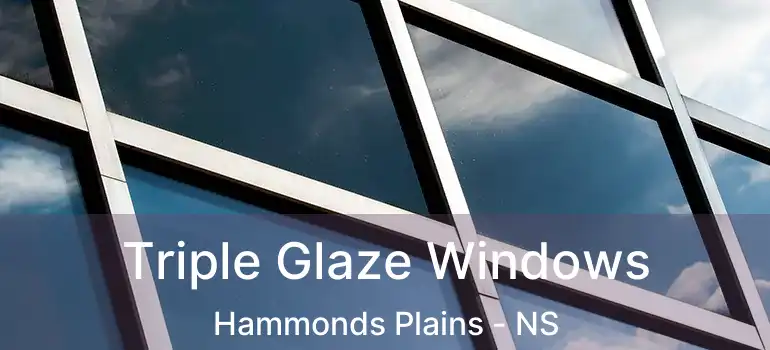  Triple Glaze Windows Hammonds Plains - NS