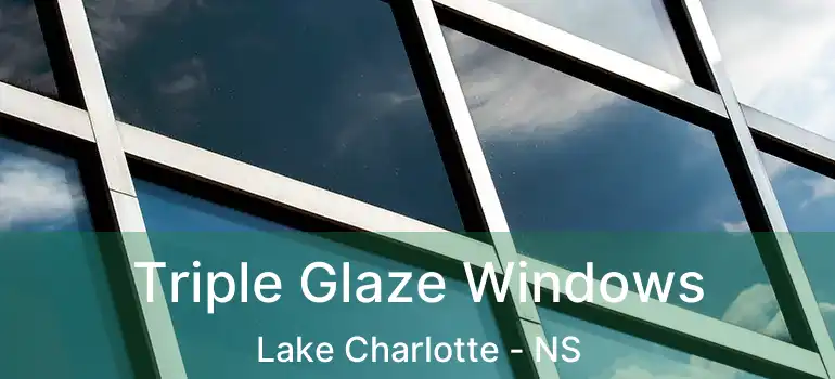  Triple Glaze Windows Lake Charlotte - NS