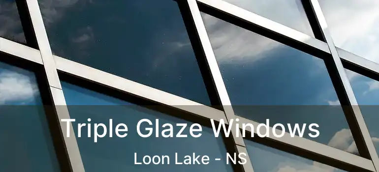  Triple Glaze Windows Loon Lake - NS