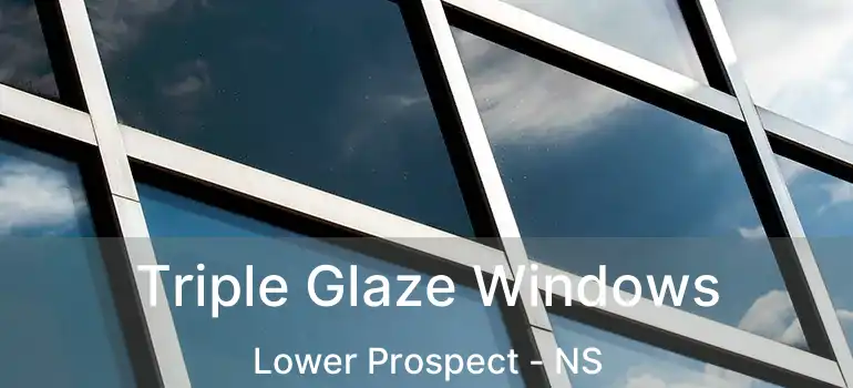  Triple Glaze Windows Lower Prospect - NS