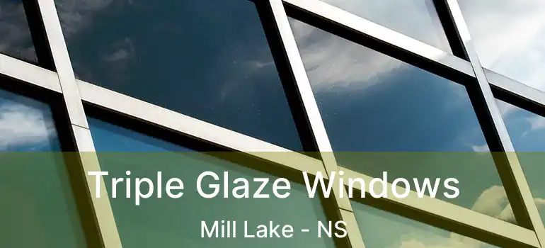  Triple Glaze Windows Mill Lake - NS