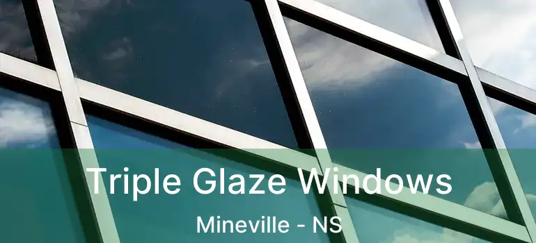  Triple Glaze Windows Mineville - NS