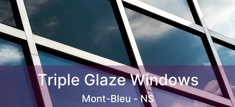  Triple Glaze Windows Mont-Bleu - NS