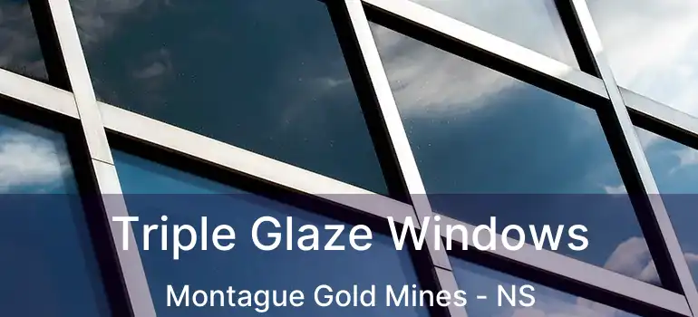  Triple Glaze Windows Montague Gold Mines - NS