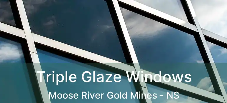  Triple Glaze Windows Moose River Gold Mines - NS