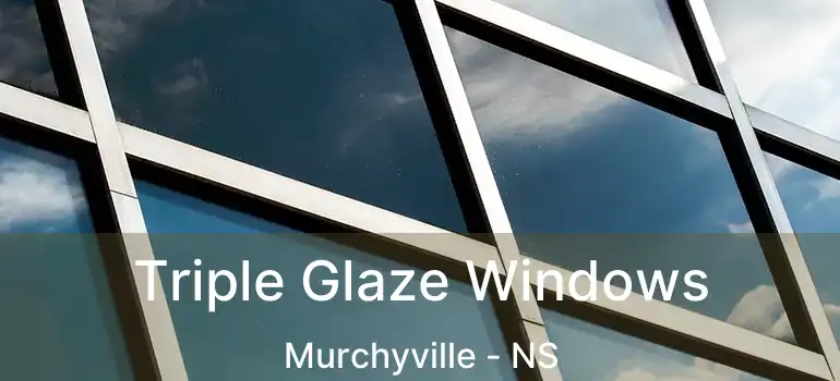  Triple Glaze Windows Murchyville - NS