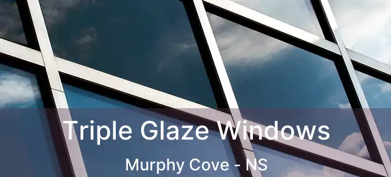  Triple Glaze Windows Murphy Cove - NS