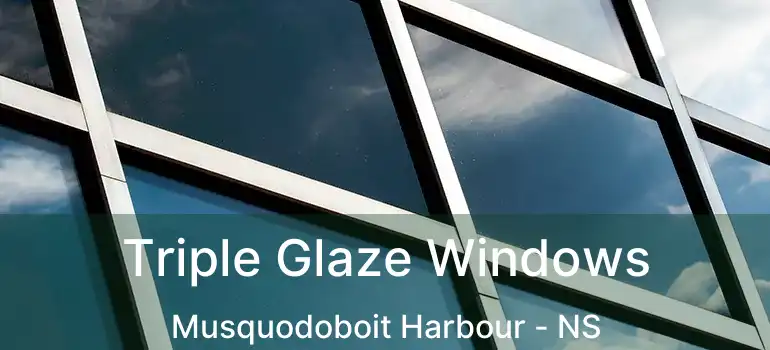  Triple Glaze Windows Musquodoboit Harbour - NS