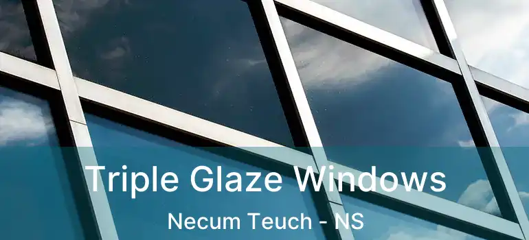  Triple Glaze Windows Necum Teuch - NS