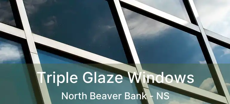  Triple Glaze Windows North Beaver Bank - NS