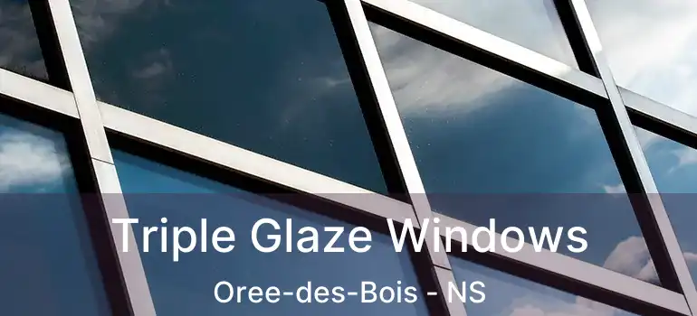  Triple Glaze Windows Oree-des-Bois - NS