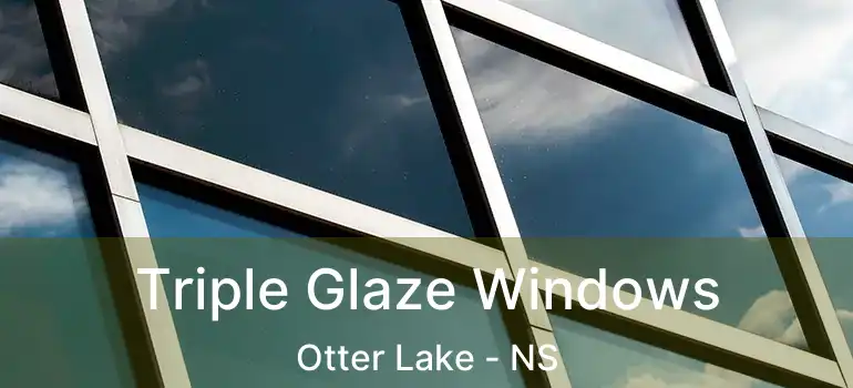  Triple Glaze Windows Otter Lake - NS