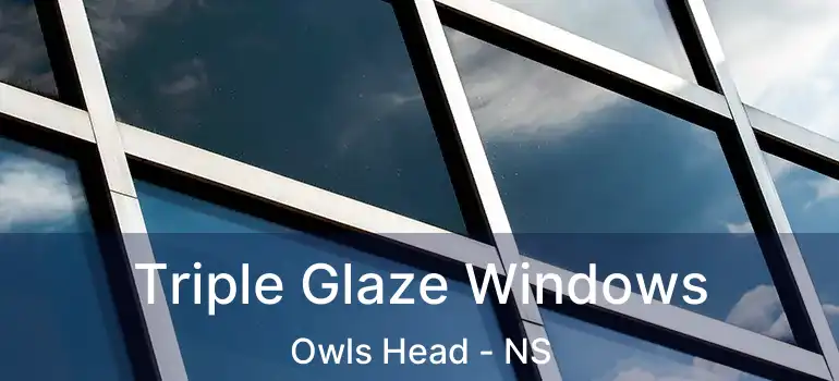  Triple Glaze Windows Owls Head - NS