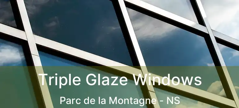  Triple Glaze Windows Parc de la Montagne - NS