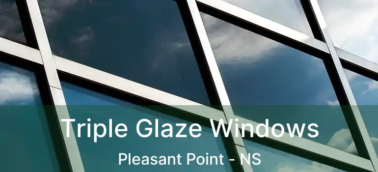  Triple Glaze Windows Pleasant Point - NS