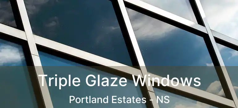  Triple Glaze Windows Portland Estates - NS