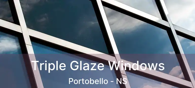  Triple Glaze Windows Portobello - NS