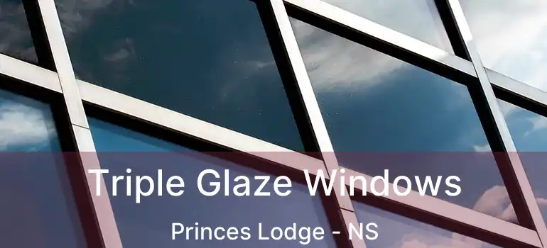  Triple Glaze Windows Princes Lodge - NS