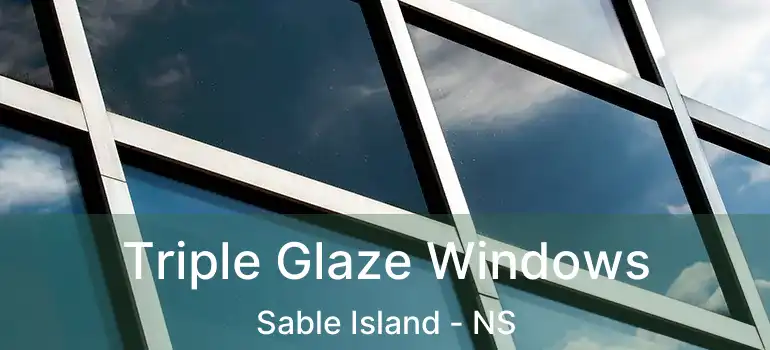  Triple Glaze Windows Sable Island - NS