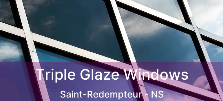  Triple Glaze Windows Saint-Redempteur - NS