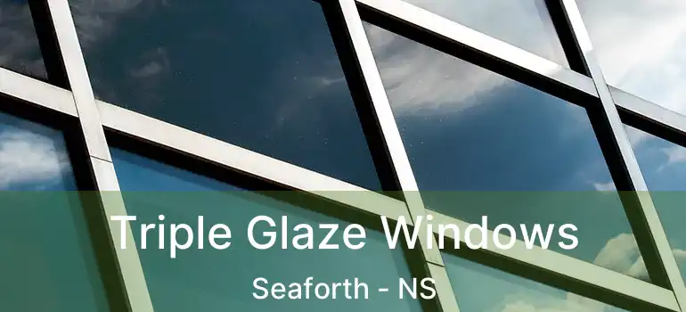  Triple Glaze Windows Seaforth - NS