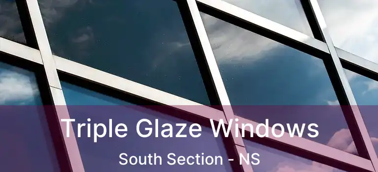  Triple Glaze Windows South Section - NS